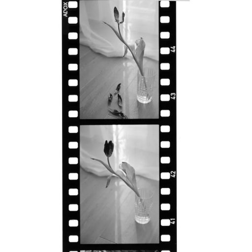 Adox Scala 50 BW 135/36 Fekete-Fehér Direktpozitív Film