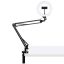 Puluz LED körlámpa asztali állvánnyal (PKT3089B)